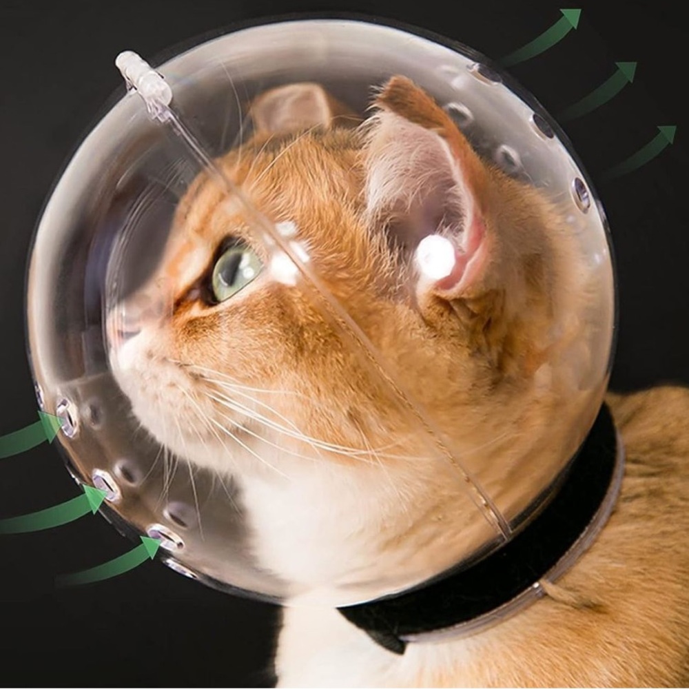 Transparent Cat Muzzle with Breathable Hood